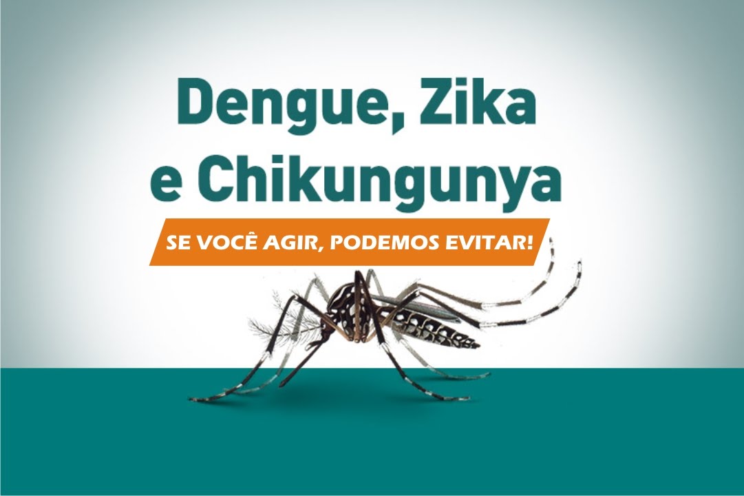 Dengue-Zika-Chikungunya.jpg