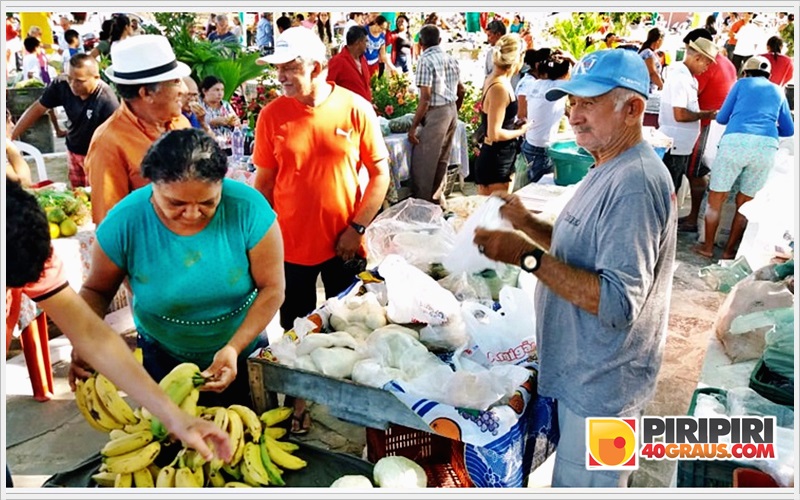 feira0607_7.jpg